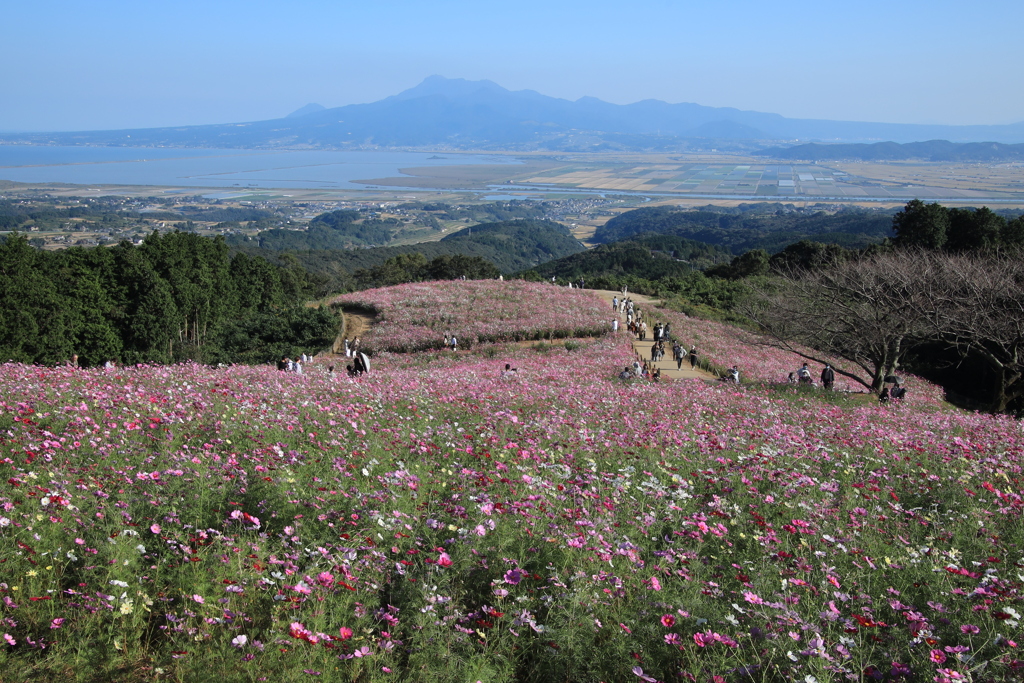  白木峰高原　Ⅰ