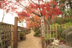 　秋のかえる寺　４