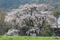 宝珠寺