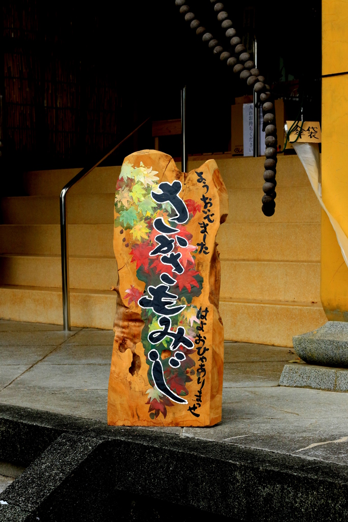  さかさもみじ　（寿福寺）Ⅰ