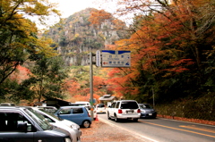 もみじ狩り車渋滞