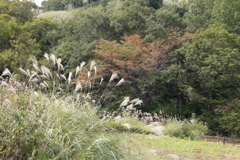 　マゼノ渓谷　１