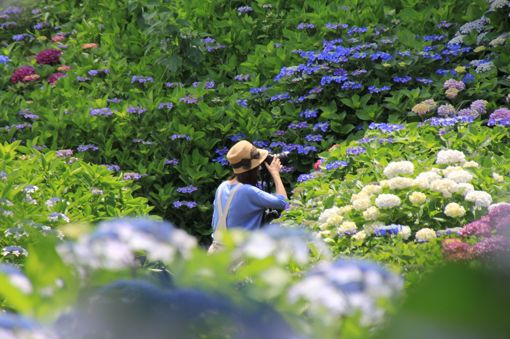 　大聖寺　写ｶﾞｰﾙ
