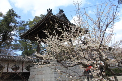 　高伝寺　４