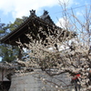 　高伝寺　４