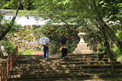 　木陰の石段