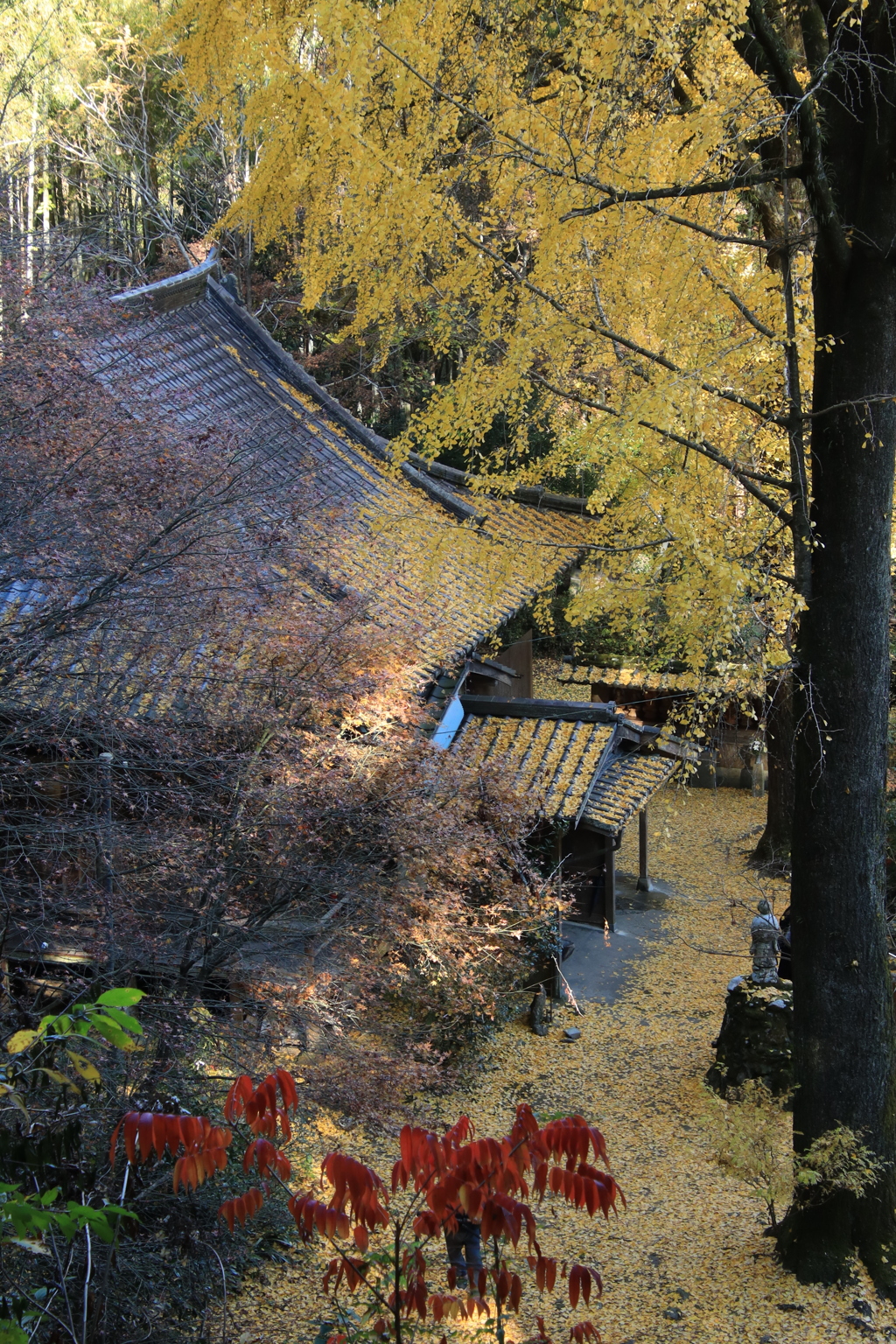 康平寺