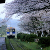  桜の駅　浦の崎