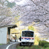 　桜の駅　２