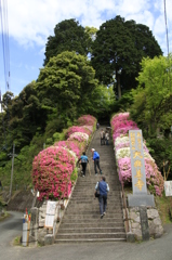  佐賀　大興善寺　１