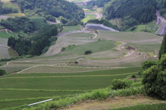 IMG_0730　蕨野棚田　３