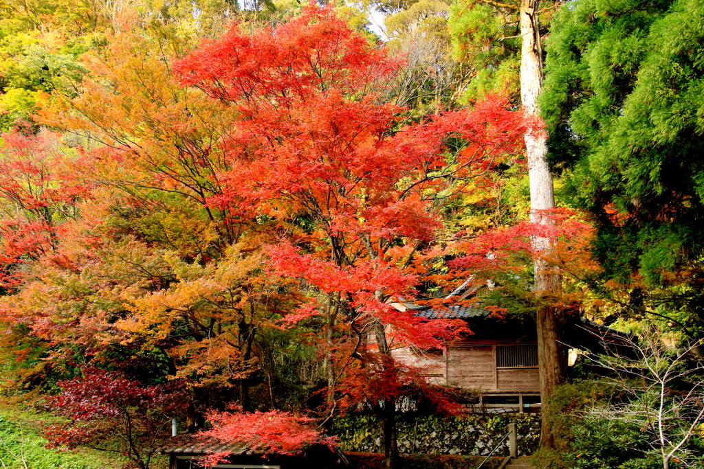 　八女津神社　Ⅱ