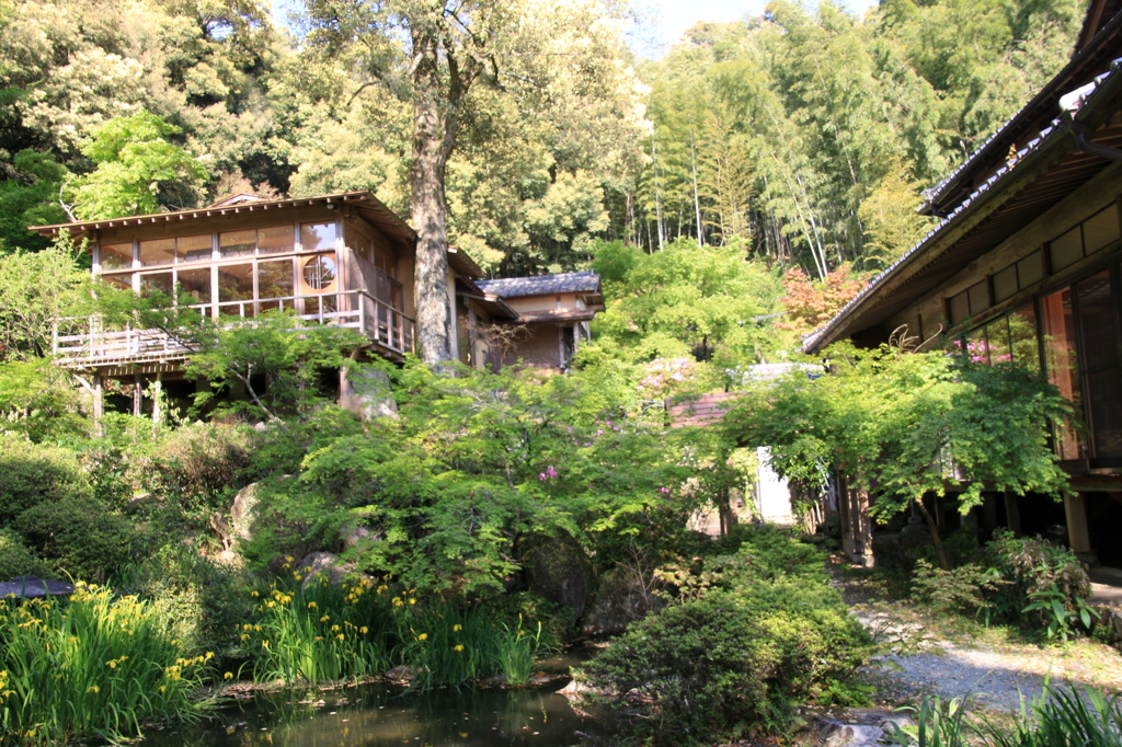 寺の庭