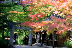 　仁比山神社