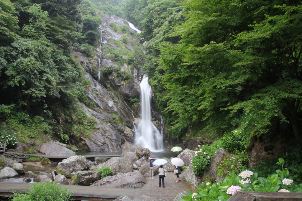 IMG_0214　見返りの滝　４