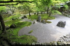 _MG_1116春の大宰府光明禅寺　1