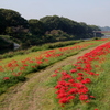 矢部川河川敷