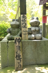 _MG_0144　夫婦円満