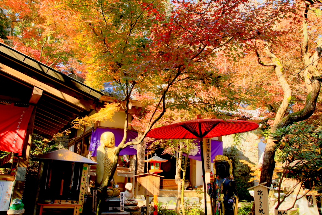  かえる寺　Ⅲ