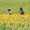 　なに写しているの