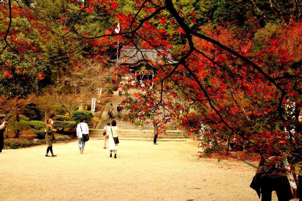 　仁比山神社