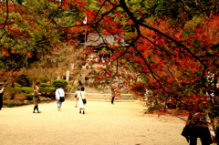 　仁比山神社