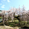 　光善寺　６