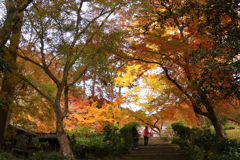 本坊庭園