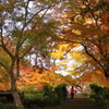 本坊庭園