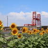 夏の昇開橋