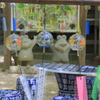 _　かえるさんもすずしそう