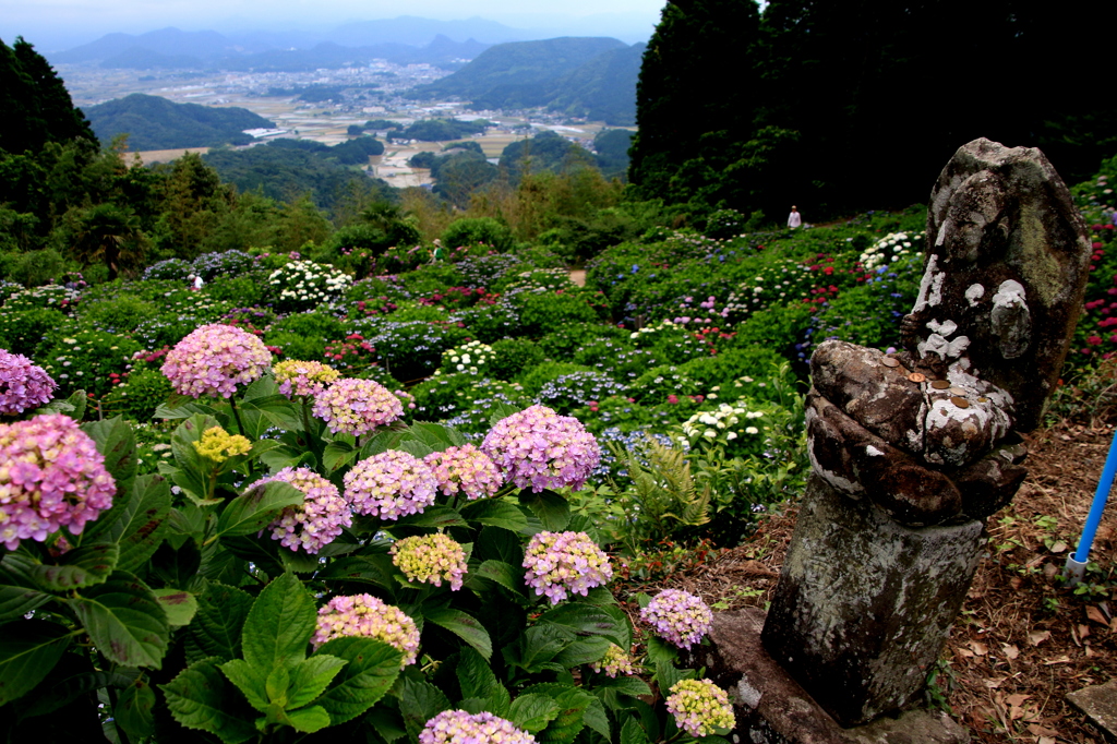 大聖寺より