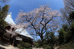 宝珠寺　２