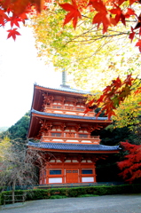 清水寺三重の塔　２