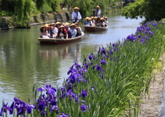  初夏の柳川川下り