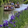  初夏の柳川川下り