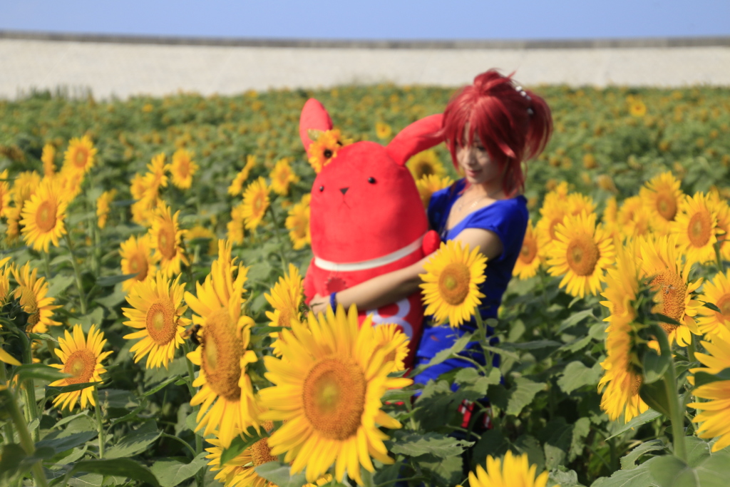 　福岡からの写ｶﾞｰﾙﾓﾃﾞﾙ