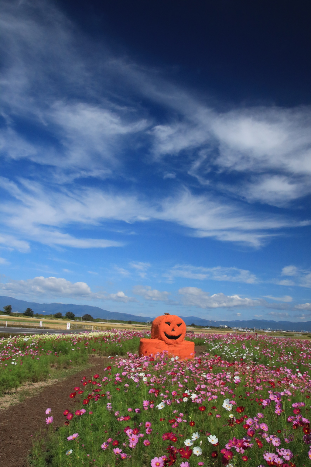  ハロウィーン　Ⅱ