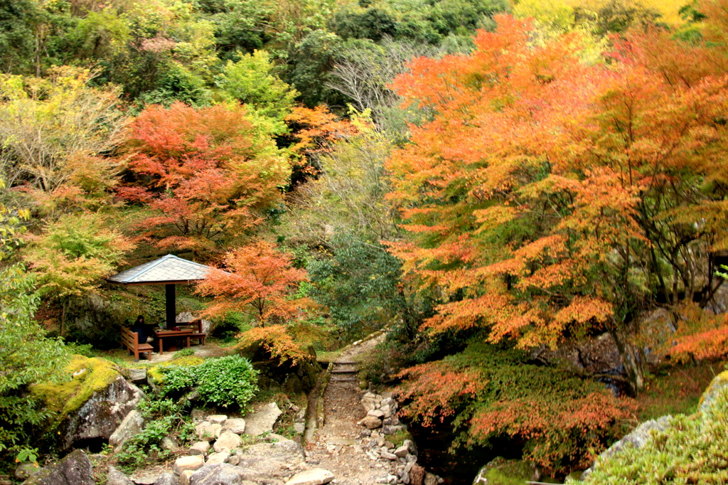 IMG_0684　あづまや