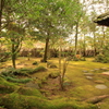 楠森　河北家　３