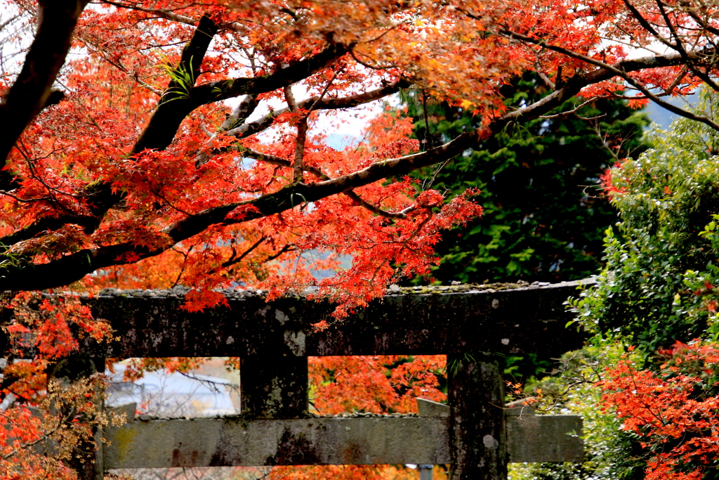 仁比山神社　Ⅰ