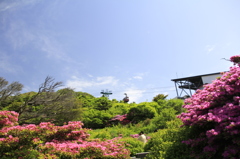 _MG_0265　仁田峠より　Ⅱ