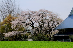 宝珠寺　２