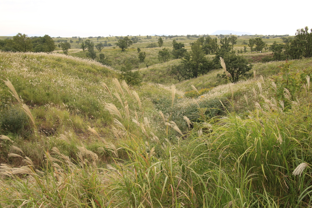 　押戸石の丘　１