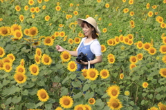 　笑顔のひまわり美人