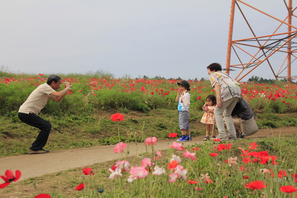 _MG_0023　ﾊｲﾎﾟｰｽﾞ