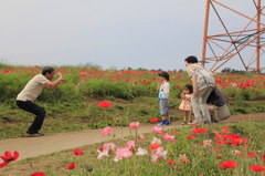 _MG_0023　ﾊｲﾎﾟｰｽﾞ