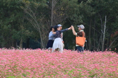 家族