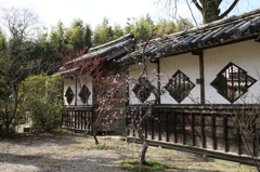 　高伝寺　３
