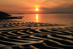 御輿来海岸展望所から